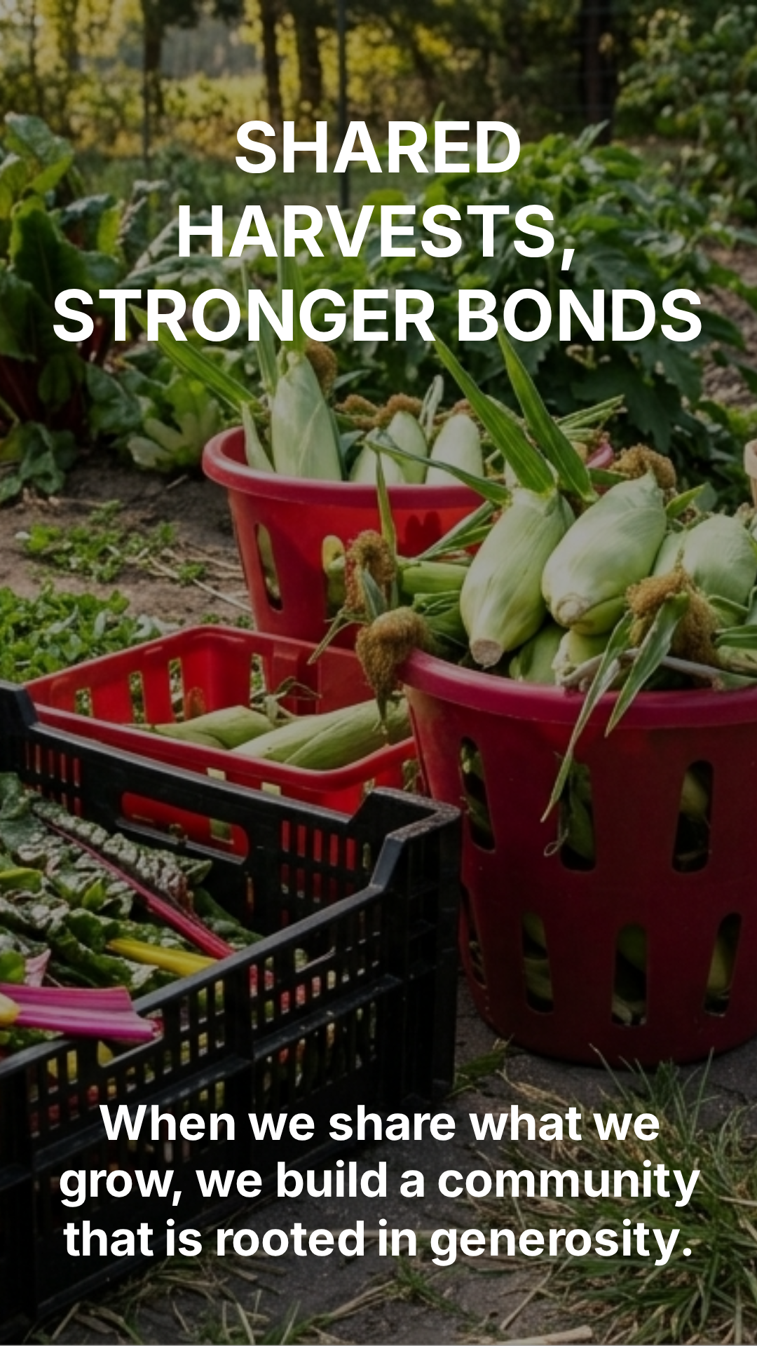 Shared Harvests, Stronger Bonds campaign sample